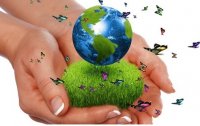 Итоги ежегодной экологической викторины «Природа вокруг нас»
